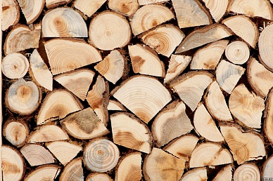 Firewood from coniferous and hardwood